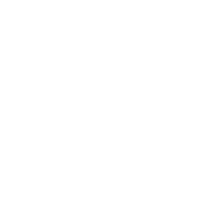 Logo White Gsv