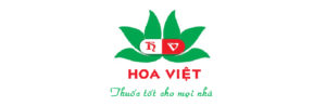 Doi Tac Phong Kham (6)