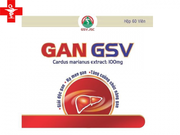 Thuốc Gan GSV - hỗ trợ cho người bệnh gan
