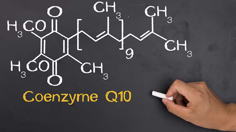 Coenzyme q10 ra đời như thế nào?